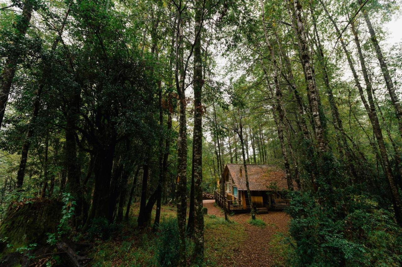 Huilo Huilo Cabañas del Bosque Puerto Fuy Habitación foto