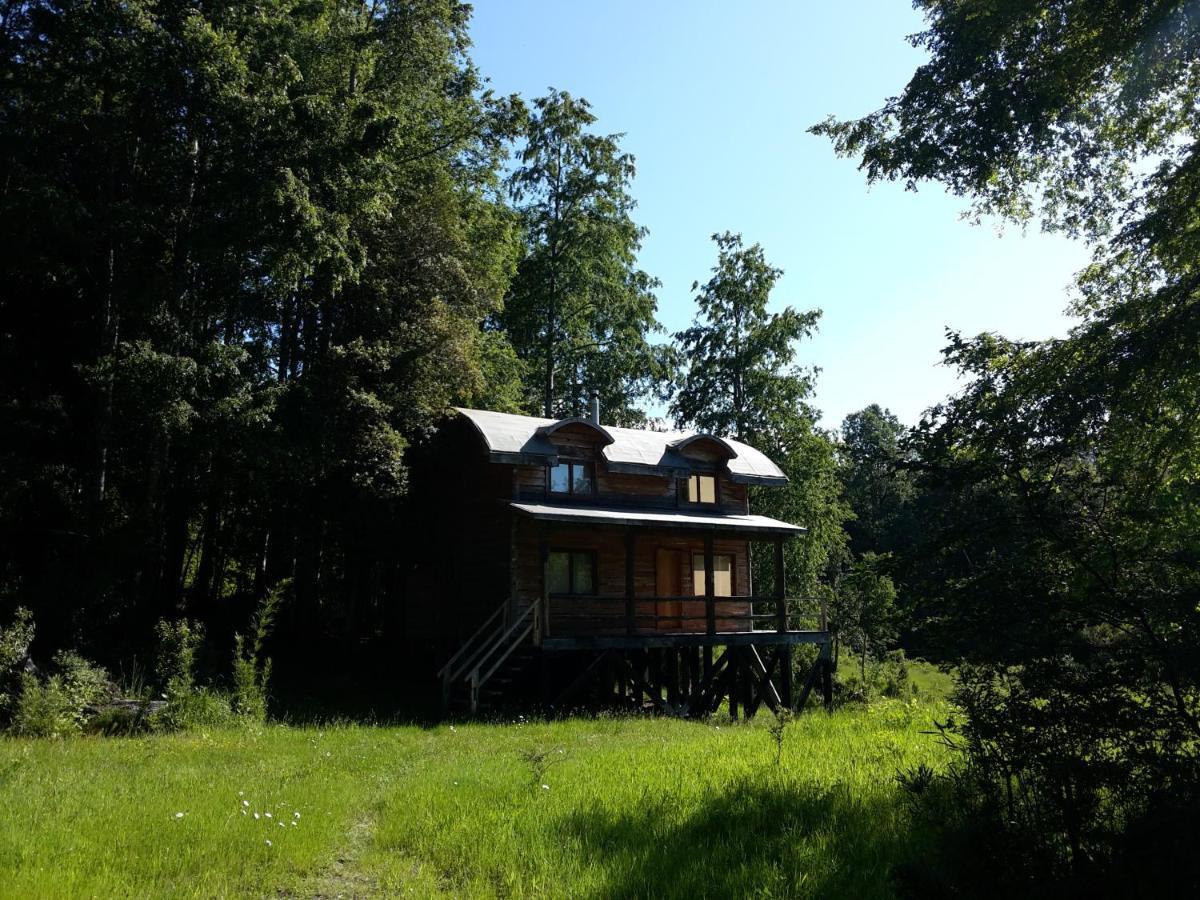 Huilo Huilo Cabañas del Bosque Puerto Fuy Exterior foto